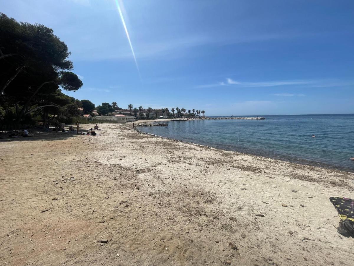 Superbe Studio Avec Terrasse Proximite Plage Saint-Mandrier-sur-Mer Eksteriør bilde