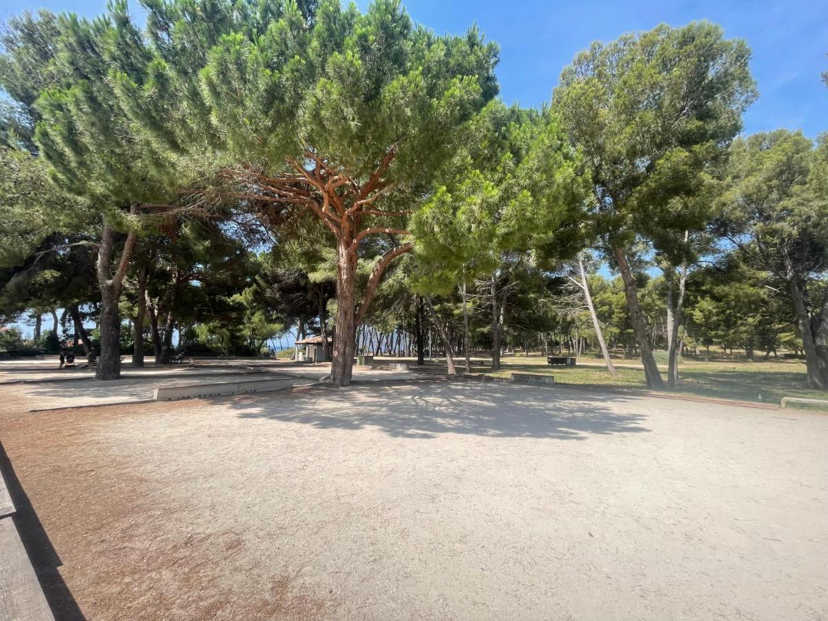Superbe Studio Avec Terrasse Proximite Plage Saint-Mandrier-sur-Mer Eksteriør bilde